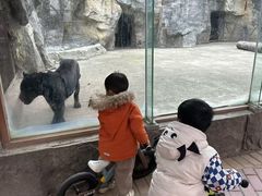 -南昌动物园