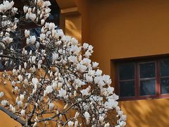 -杭州上天竺法喜讲寺