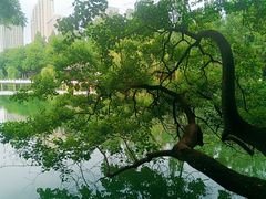 -浮庄