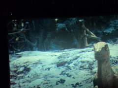 -百丽宫影城(嘉里汇店)