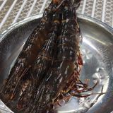 你敢相信吗？买单只要1.32元！