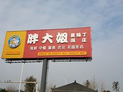 -胖大姐黄辣丁鱼庄(新津店)