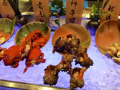 -盛宴自助餐厅(运达喜来登店)
