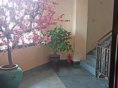 -金陵春梦足道SPA养生