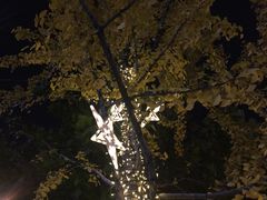 -紫荆广场·花漫里