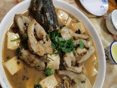 -煲来饱去冷水鱼