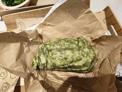 -油梨树 AVOCADO TREE(亮马桥店)