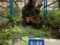 -石家庄市植物园