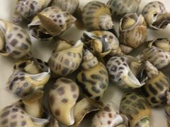 -明记海鲜美食老字号(明记总店)