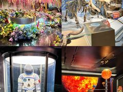 -糖糖屋•糖水•雪花冰店(时尚天河店)