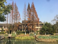 -乌村