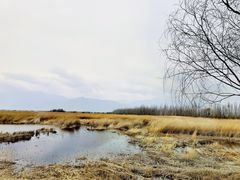 -野鸭湖国家湿地公园