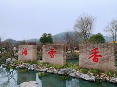 -香雪海