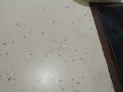 -黑山牛肉汤火锅(花城汇店)