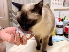 -鑫明明拉面(宁化路店)