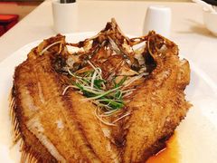 石斑鱼-衡山汇·高级粤菜(霄云路店)