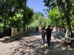 -廊坊市自然公园