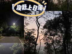 -火炉山森林公园