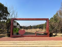 -青龙山国家森林公园