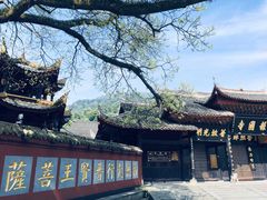-峨眉山报国寺