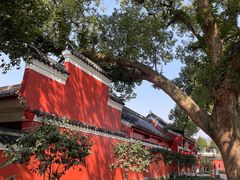 -江西龙虎山景区
