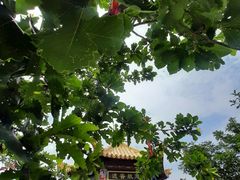 -沈阳辉山风景区