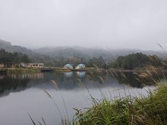-海南热带雨林国家公园吊罗山景区