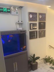 -海涛医疗美容·面部抗衰·注射美鼻