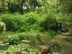 -新江湾城公园
