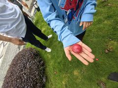 -上海浦东星河湾酒店