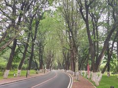 -棒棰岛宾馆景区