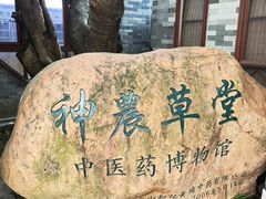 -广州神农草堂中医药博物馆