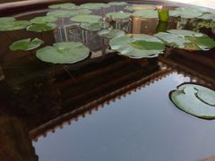 -晋江五店市传统文化旅游区