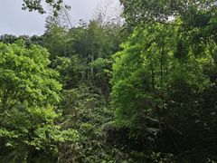 -水墨汀溪风景区