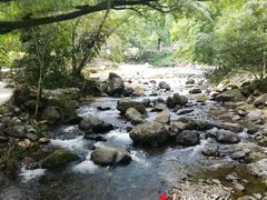 -广州市石门国家森林公园