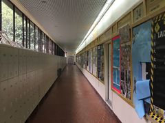-香港大学
