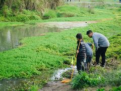 -桤木河湿地公园