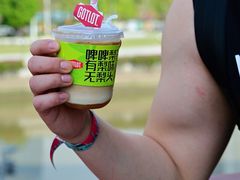 -海心沙亚运公园