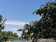 -丽泽山庄·生态怀柔菜·虹鳟鱼(红螺寺店)