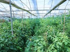 -营地公园·团建拓展·亲子户外(奉贤店)