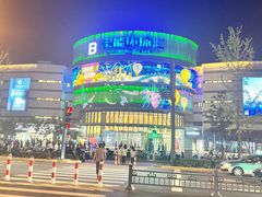 -仪征宝能环球汇