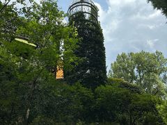 -三鹰之森吉卜力美术馆