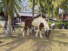 -海南文笔峰盘古文化旅游区