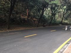 -南国桃园旅游度假区