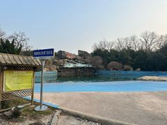 -金孔雀温泉旅游度假村