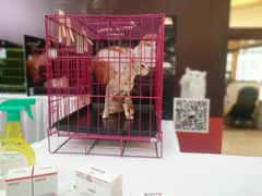 -宝龙城(杭州滨江店)