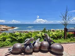 -广东惠东海龟国家级自然保护区