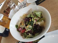 沙拉-辛德勒啤酒德餐厅