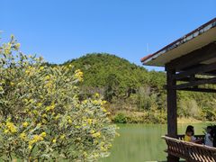 -广州白江湖森林公园