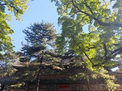 -潭柘寺景区